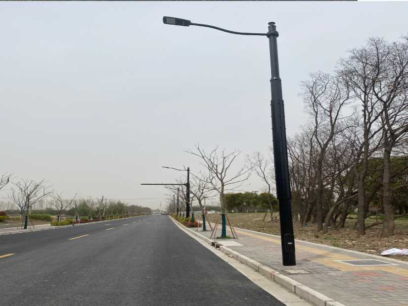 张湾区上海综合杆 太阳能路灯工程